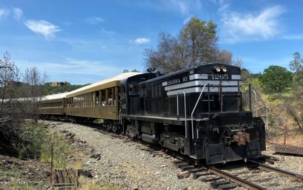 Different types of rail cars